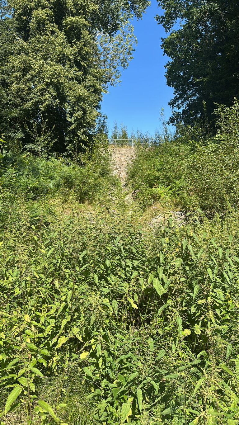 88e2d722 6af2 4a5a 8acf 75e99136f8dd